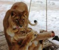 /album/fotogaleria/images-34-jpg/